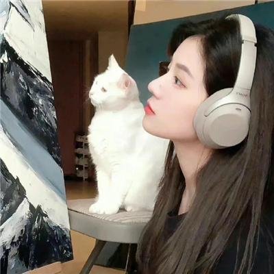 新城猎人
